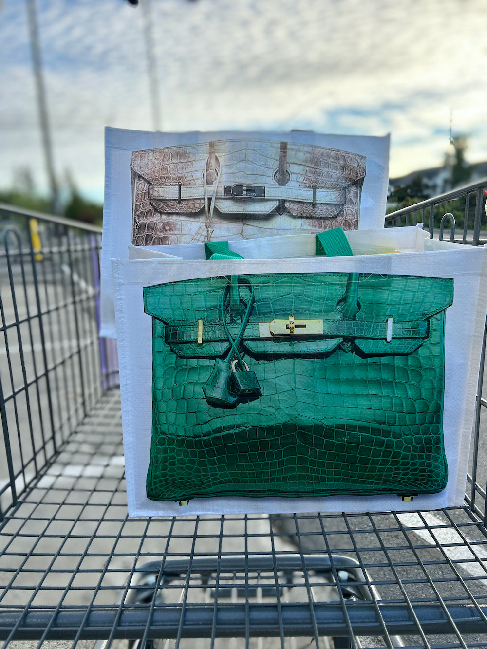 ENVY  Grocery Tote Bag